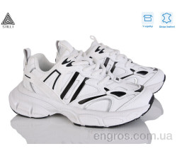 Кроссовки STILLI Group